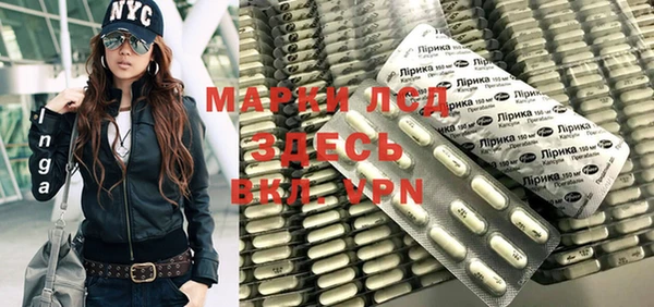 ПСИЛОЦИБИНОВЫЕ ГРИБЫ Богданович