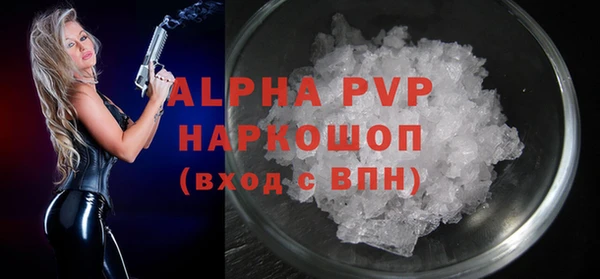 ECSTASY Богородицк
