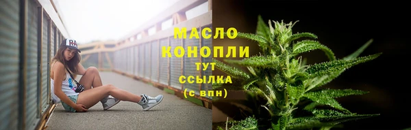 ECSTASY Богородицк