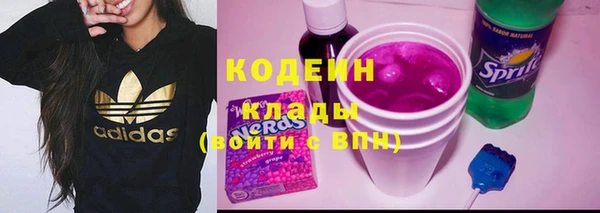 ПСИЛОЦИБИНОВЫЕ ГРИБЫ Богданович