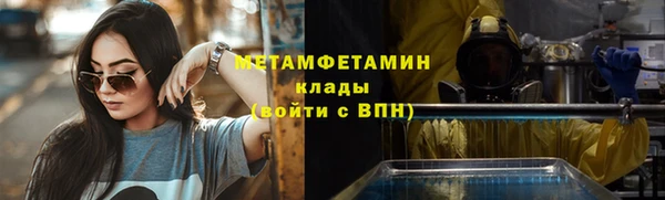 ПСИЛОЦИБИНОВЫЕ ГРИБЫ Богданович