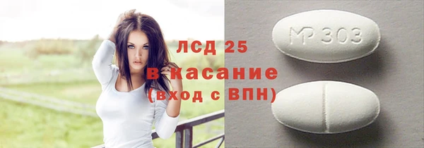 ПСИЛОЦИБИНОВЫЕ ГРИБЫ Богданович