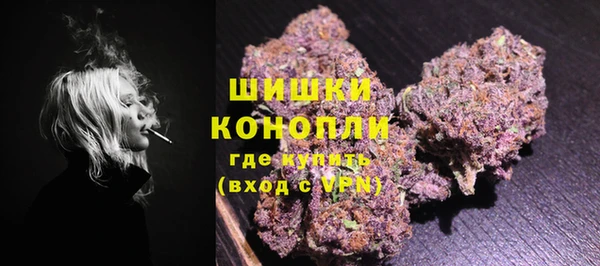 ECSTASY Богородицк