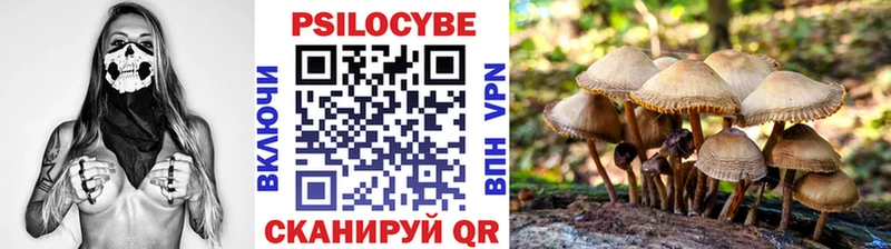 Купить  Починок  Галлюциногенные грибы Cubensis 